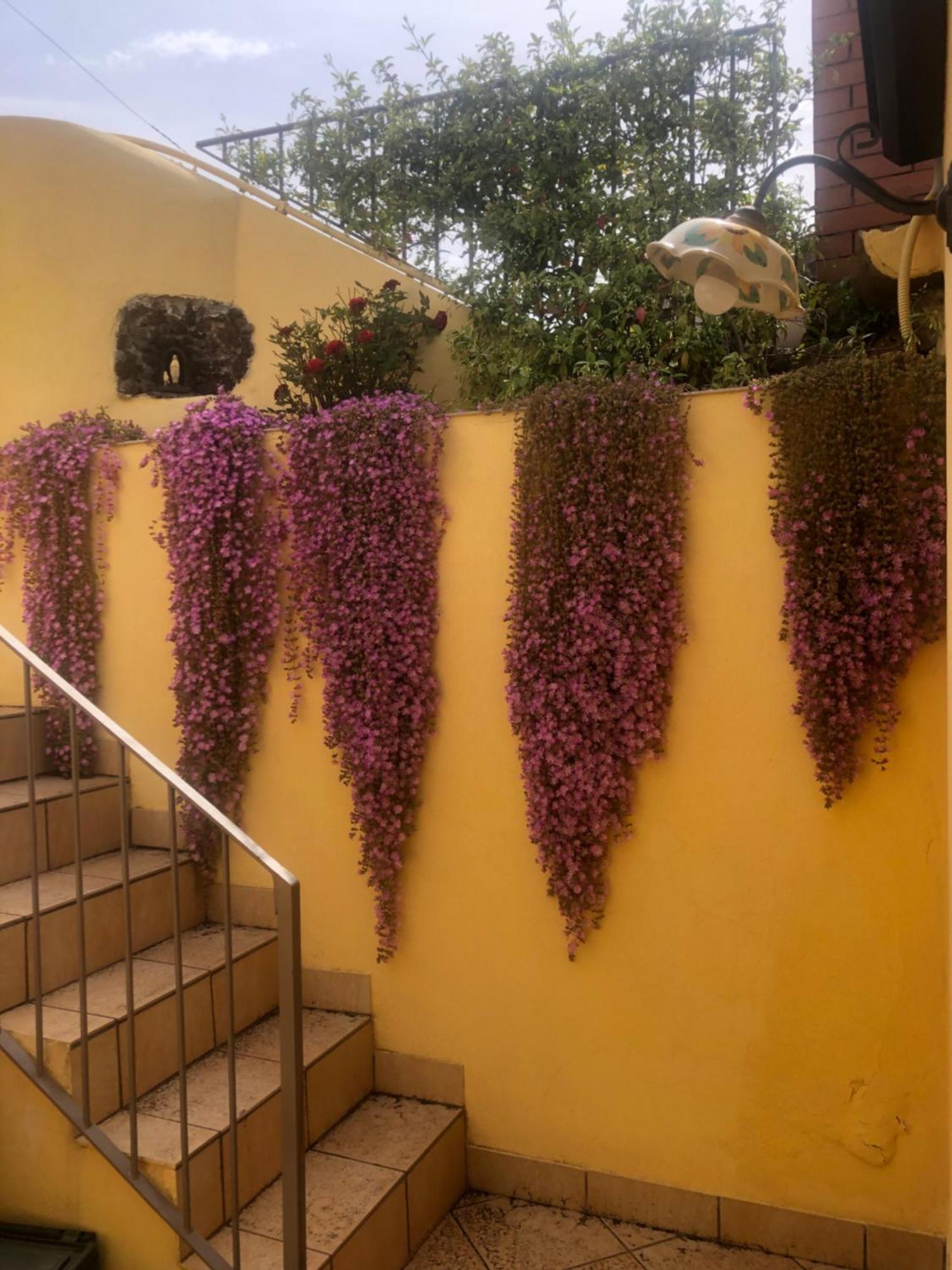 Camilla Affitta Camere Nicolosi Exterior foto
